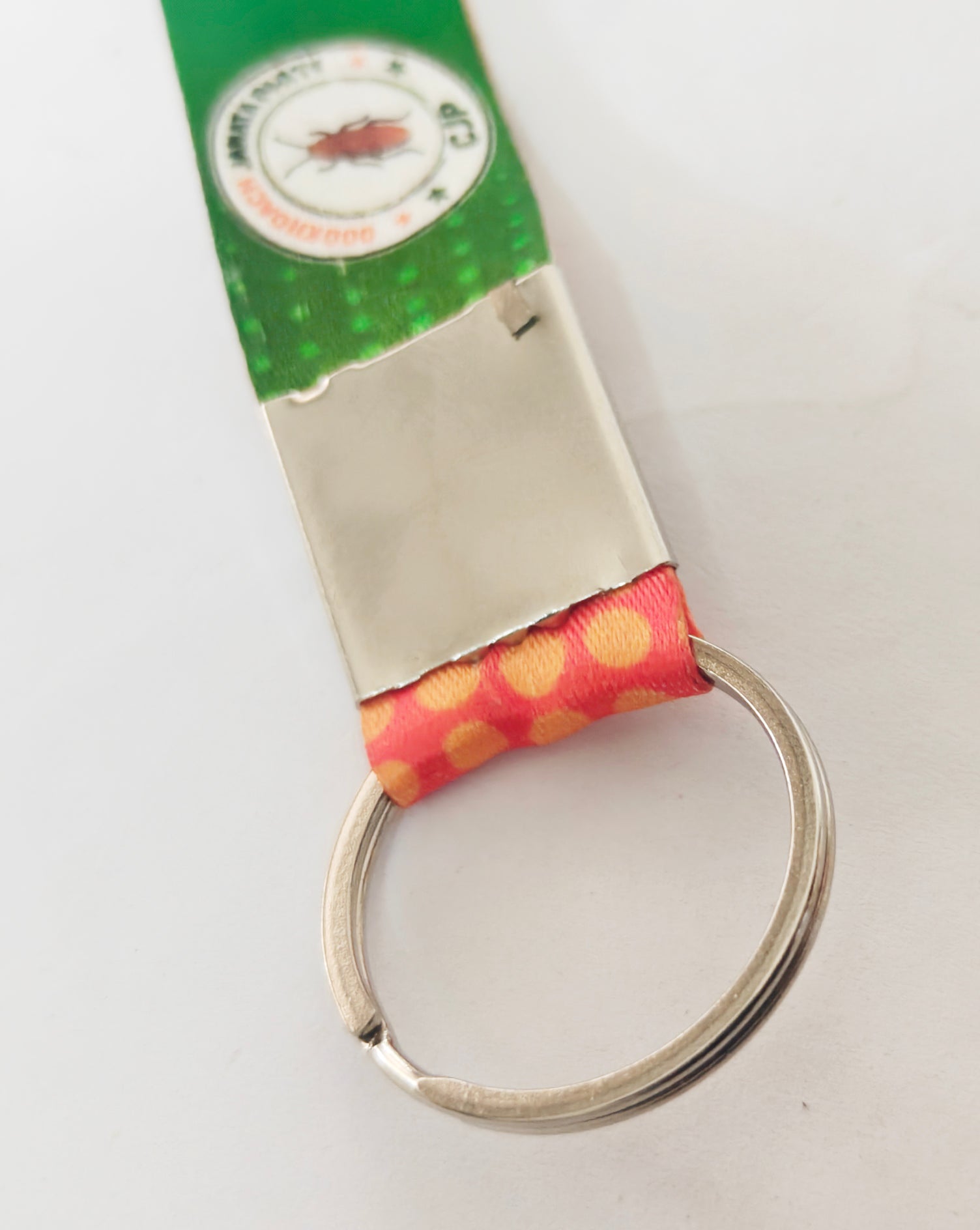 Cockroach Janata Party (CJP) – Key Chain